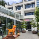 비고리조트 11 이미지