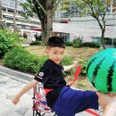 KTC태권도장 이미지