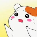 생선명가거북명태 이미지