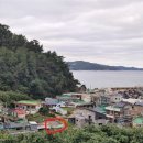 초곡1리 이미지