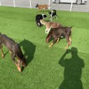 칸 트레이닝 센터 이미지