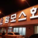 맘모스９호집 이미지