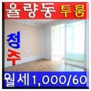 주중초교 이미지