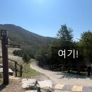 현명농장 | 부산 근교 등산 🏔️ | 울산 영남알프스 간월재 사슴농장코스 가벼운 등산 &amp; 간월재 휴게소 컵라면 후기