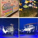 부산 광안리 어방축제 기본정보 및 드론쇼 다녀온 후기