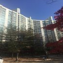 엑스포로3 이미지