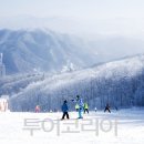 휘닉스파크 이미지