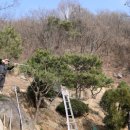 김상헌 농장 네이버블로그