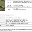 아임라이프