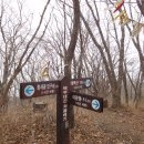 차돌배기로1 이미지