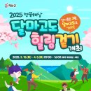 달마고도 이미지