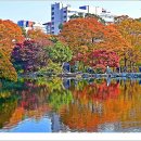 우리카폐첫출사-창덕궁,창경궁사진 2025-11-07 이미지