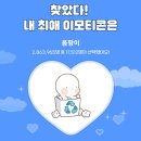 커방 | 2023-10-19 &gt; 10월의 중순도 지나가고 있다