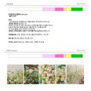 31140-9-70-27 | W7. 더베르지 웨딩홀 투어 및 상담 후기 / 더베르지 27년 상반기 대관료 식대 견적 공유