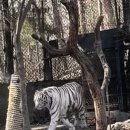 황호농장 이미지