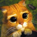 Ghiblidoll 이미지