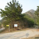 당치회관 Daum카페