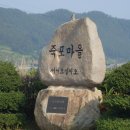 여수 돌산의 아름다운 산길 (1차) 이미지