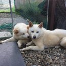 소양농장 이미지