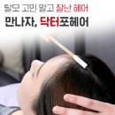 닥터포헤어전주