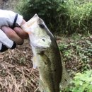 모차호텔 이미지