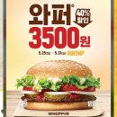 [신메뉴] 패스트푸드 KFC,버거킹,롯데리아,맥도날드 이미지