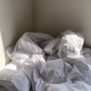 [덕계]당신은 셔터를 누를 수밖에 없다(사진으로 남기는 일상의 기록) | [나홀로 뚜벅이 여행] 경주여행 3일차(대릉원, 불국사, 월정교)