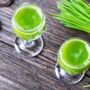 새싹피티 이미지