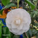 천중농장 이미지