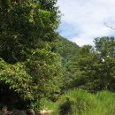 호명산캠프 이미지