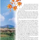 전남) 가을에 가볼만한 순천 낙안읍성 & 선암사^^ 이미지