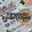 대야노인복지관 | 아이와 함께 집에서 간편한 체험활동 드림버섯농장 표고버섯키우기 키트