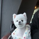 구름정원 이미지