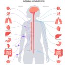 금정한의원 | 부산 금정구 자율신경실조증 한의원. 환자분의 후기로 설명합니다!