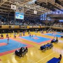 명품태권도 이미지