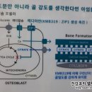 아임메디컬 이미지
