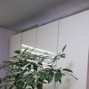 성신카센타 이미지