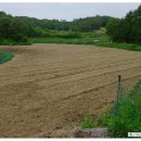 현중농장 이미지