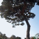 32번국도 이미지