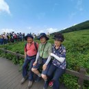 🏖옻닭모임 여름휴가🏖🏝장소:강원도 아침가리계곡 천상의 화원 곰배령🏝날짜:8/2~8/4(2박3일)🏝누구랑:옻닭님 (9명) 이미지