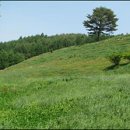 초지축산 이미지