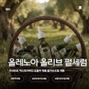 올리브케어 | 💚 올레노아 올리브펄세럼 후기 ✨ 저속노화 탄력케어 엑스트라버진 세럼 사용기