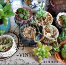 묵지농장 이미지