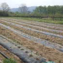 섬진강 레일바이크 이미지