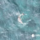 종달로가 이미지