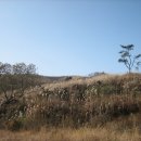 서광축산 이미지