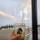 7번국도 동해대로(강현면) | 양양 오션뷰 카페 추천 PEI 카페 전좌석 바다 전망 솔직 후기