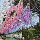 민속촌 내포점 | [충남 예산] 아이와 함께라면 무조건! 내포보부상촌, 기대 이상의 꿀잼 여행지 솔직 후기 😊