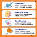 추천] 흠집 없는 스크럽대디 & 스크럽마미 내돈내산 정착 후기 (ft. 짱짱한 교체주기와 만능 활용법)
