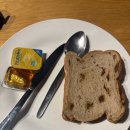 소도락하우스 | (🇦🇺7~8일차) 마지막 브리즈번 시내 구경/번다 버그로 입성